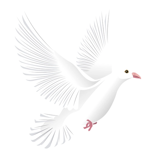 Freedom dove